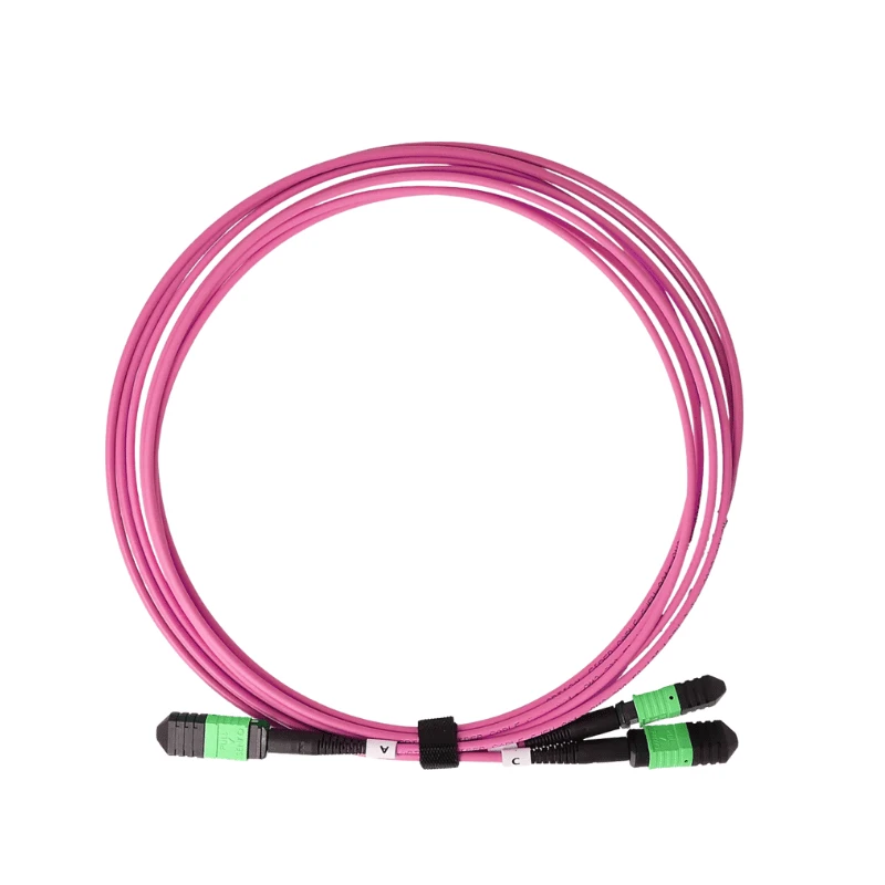 product-800-800
